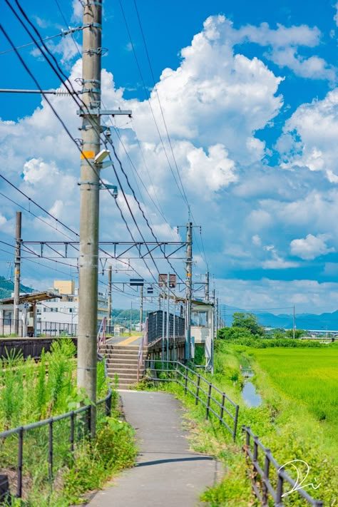 Japan Countryside, Japanese Countryside, Japan Landscape, Cocoppa Wallpaper, Japan Photography, Power Lines, Scenery Photography, Green Field, Japanese Landscape