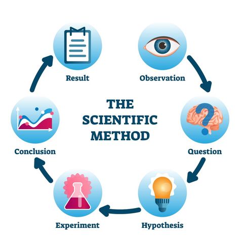 The steps to the scientific method! #learning #scietificmethod #science #idt3600 Scientific Method Steps, Scientific Inquiry, Science Inquiry, Science Equipment, The Scientific Method, Experimental Design, Perfect Circle, Diagram Design, Science Fair Projects