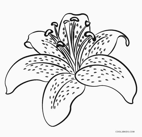 Free Printable Flower Coloring Pages For Kids Flower Coloring Pages For Kids, Flower Colouring In, Flower Coloring Sheets, Tulsi Vivah, Printable Flower Coloring Pages, Arte Quilling, Printable Flower, Flower Outline, Parts Of A Flower