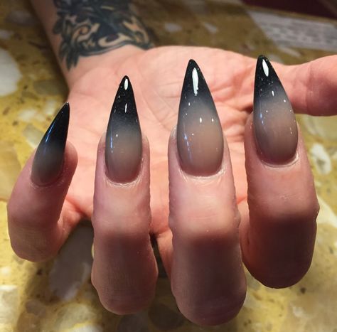 Goth Sharp Nails, Goth Core Nails, Siren Claws, Halloween Nail Stiletto, Siren Nails Dark, Pointy French Tip Nails, Black Swan Nails, Gothic Nail Art, Black Ombre Nails