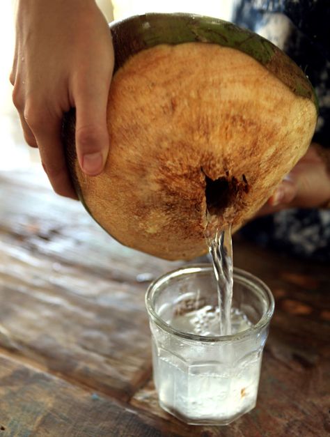 Fresh as can be My New Roots Coconut Water Aesthetic, Fresh Coconut Water, Coconut Juice, Coconut Fruit, Coconut Water Benefits, Fruit Mango, Tropical Islands Paradise, Water Aesthetic, Fresh Coconut