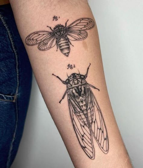 Scientific Tattoo, Leg Tattoo Designs, Cicada Tattoo, Michigan Tattoos, Upper Leg Tattoos, Funky Tattoos, Insect Tattoo, Bug Tattoo, Awesome Tattoo