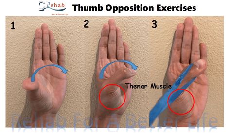 Thumb Exercises, Thumb Pain Relief, Hand Therapy Exercises, Hand Health, Arthritic Pain, Therapy Exercises, Trigger Finger, Hand Exercises, Wrist Pain