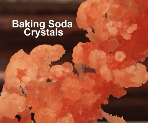 Crafts With Baking Soda, Make Crystals With Kids, Baking Soda Crafts, Baking Soda Art, Homemade Crystals, Diy Crystal Growing, Overnight Crystals, Borax Crystals Diy, Diy Crystal Crafts