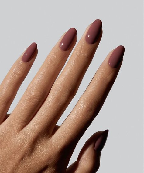 Solid Colours Nails, Plain Colour Nails Simple, Fall Nails No Chip, Plain Nail Polish Ideas, Back To School Nails Solid Colors, Plain Solid Color Nails, Single Nail Colors, Solid Color Nails Fall, Nails Inspiration Solid Color