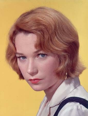 Shirley MacLaine headshot Shirley Mcclain, Shirley Jones, Shirley Maclaine, Terms Of Endearment, Maggie Smith, Old Hollywood Stars, Actrices Hollywood, Best Actress, Hall Of Fame