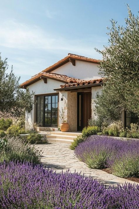 40 Brilliant Small Mediterranean Homes Cute Mediterranean House, Front Door Olive Trees, Mediterranean Ranch House, One Story Mediterranean Homes, Southern California Homes Exterior, Modern Hacienda Exterior, Lavender Front Yard, Tropical Mediterranean Home, Mediterranean Cabin