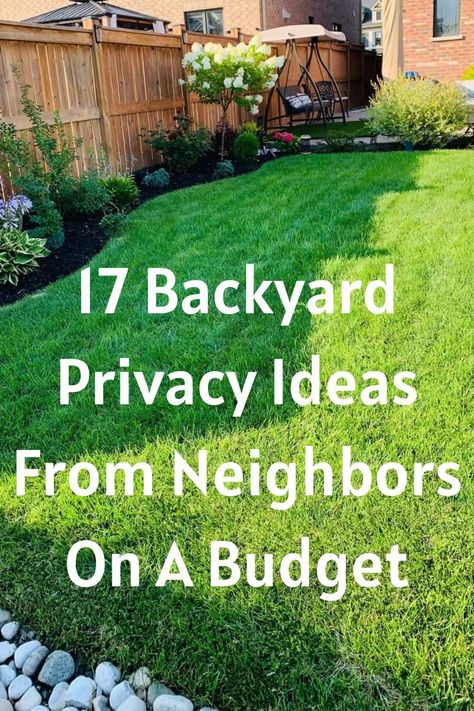 Creative Landscaping Ideas for a Stunning Garden (#97) - Vertical Gardens Backyard Patio Privacy Ideas, Neighbor Privacy Ideas Backyard, Backyard Privacy Ideas From Neighbors Fence, Small Garden Privacy Ideas, Diy Outdoor Privacy Ideas, Add Privacy To Backyard, Ideas For Privacy From Neighbors, Garden Screening Ideas Cheap, Creative Privacy Fence Ideas