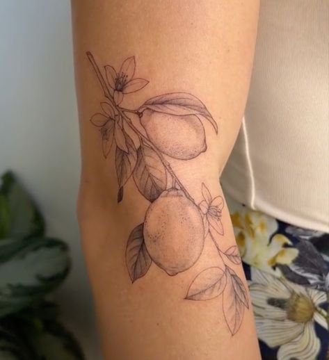 Tangerine Branch Tattoo, Lemon Branch Tattoo Fine Line, Lemon And Flower Tattoo, Mango Branch Tattoo, Orange And Lemon Tattoo, Lemon Vine Tattoo, Pear Blossom Tattoo, Lemon Blossom Tattoo, Italian Style Tattoos