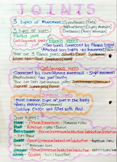 Revision notes on joints - fibrous/cartilaginous/synovial Anatomy And Physiology Joints, Kinesiology Study Notes, Radiology School Notes, Radiology Study Notes, Orthopedic Study Notes, Musculoskeletal System Nursing Notes, Joints Anatomy Notes, Medical School Notes Study Guides, Musculoskeletal System Notes