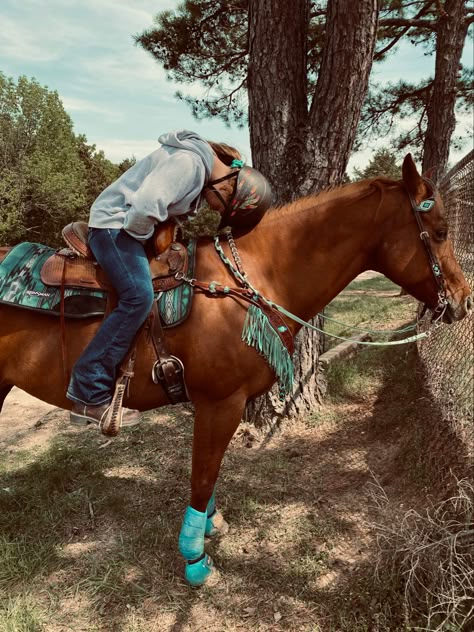 Barrel Racing Saddles, Horses Tack, Barrel Racing Tack, Horse Back Riding, Cute Horse Pictures, Pictures To Recreate, Barrel Racing Horses, Western Stuff, Horse Riding Clothes