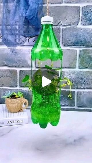 Ideas With Plastic Bottles, Garden Ideas With Plastic Bottles, Driftwood Shelf, Christmas Tree Kit, Dollar Tree Christmas Decor, Diy Best Friend Gifts, Diy Jar, Plastic Bottle Art, Old Clothes Refashion