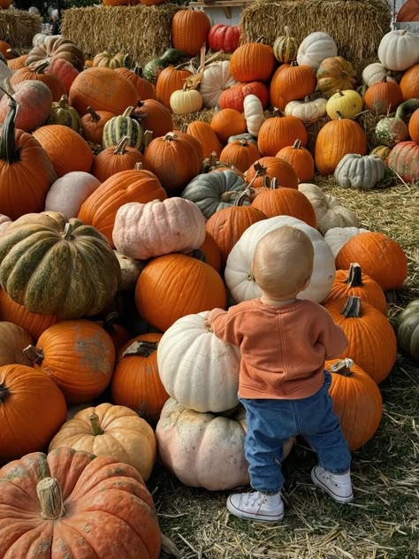 Pumpkin patch baby toddler photo inspo aesthetic fall autumn bucket list Pumpkin Patch Pictures, Fall In Luv, Pumpkin Photos, Pumpkin Farm, Future Mom, Lil Baby, Season Of The Witch, How Big Is Baby, Baby In Pumpkin