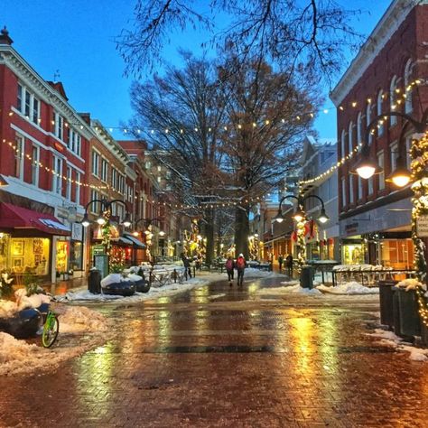 20+ Things to do in and Around Lynchburg - Virginia's Travel Blog Holiday Road Trip, Virginia Travel, Old Town Alexandria, Shenandoah National Park, Charlottesville Va, Holiday Photos, Holiday Travel, Style Icon, Small Towns