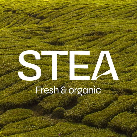 Brand identity Stea Project from a while ago - Stea. A sophisticated, modern brand identity for a premium, organic tea brand that reflects the quality and organic nature its tea products. (Part 2) #brandservices #branding #brandidentity #designer #brandingdesign #branddesign #logo #logodesigner #smallbusiness #packaging #packagingdesign Organic Tea Brands, Modern Brand Identity, Tea Logo, Organic Nature, Organic Tea, Tea Brands, Organic Teas, Organic Design, Modern Branding