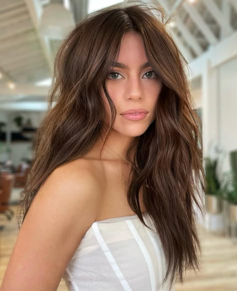 Warm Brown Hair Color Idea Best Hair Color For Yellow Undertones, Lighter Brown Hair Color, Rich Brown Hair Color, Lighter Brown Hair, Rich Chocolate Brown Hair, Dark Brown Hair Dye, Rich Brown Hair, Mocha Hair, Warm Brown Hair