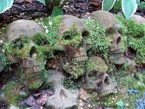 Goth Garden, Treasure Hunters, Witch Garden, Gothic Garden, Random Inspiration, Halloween Designs, Carnivorous Plants, Garden Borders, Garden Statues