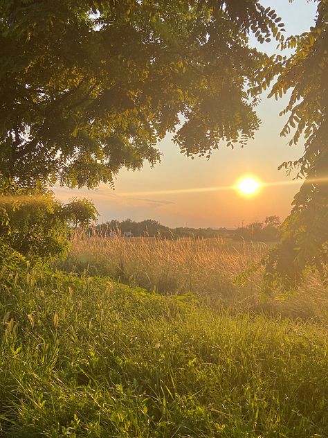 sunny golden hour sunshine aesthetic trees medow ray sunbeam golden summer evening Apollo's Cabin, Apollo Aesthetic, Apollo Cabin, Cabin Aesthetic, Sun Aesthetic, Pretty Landscapes, Eternal Sunshine, Thoughts And Feelings, Nature Aesthetic