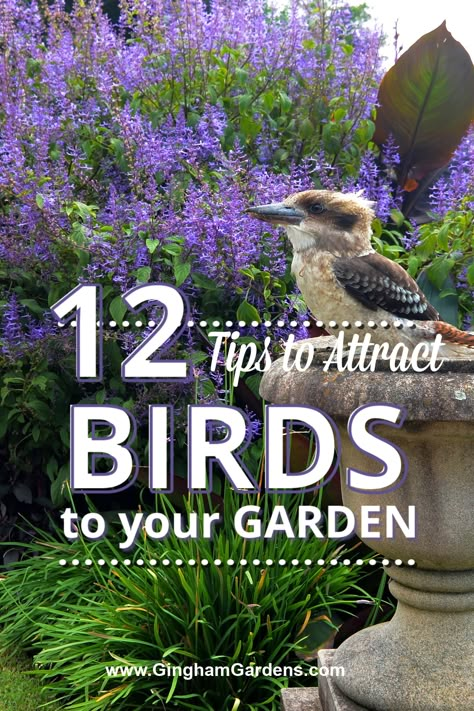 Bird Feeder In Flower Bed, Bird Attracting Plants Australia, Birds And Blooms, How To Attract Birds To Your Garden, Birds Garden Ideas, Bird Area In Garden, Bird Corner Garden, Front Yard Bird Sanctuary, Bird Bee Butterfly Garden