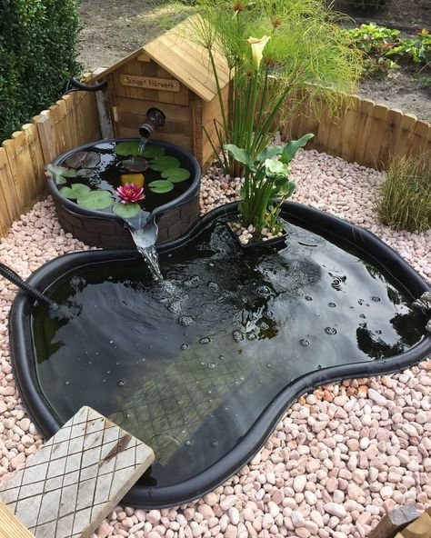 Coy Pond, Outdoor Fish Ponds, Small Fish Pond, Fish Ponds Backyard, Small Backyard Ponds, Mini Pond, Slider Turtle, Kolam Koi, Fish Pond Gardens