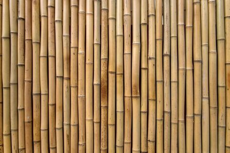 Bamboo texture | Free Photo #Freepik #freephoto #background #texture #wood #line Bamboo Background, Bamboo Texture, Bamboo Pattern, Texture Download, Bamboo House, Bamboo Wall, Wall Mural Wallpaper, Material Textures, Pattern Wall