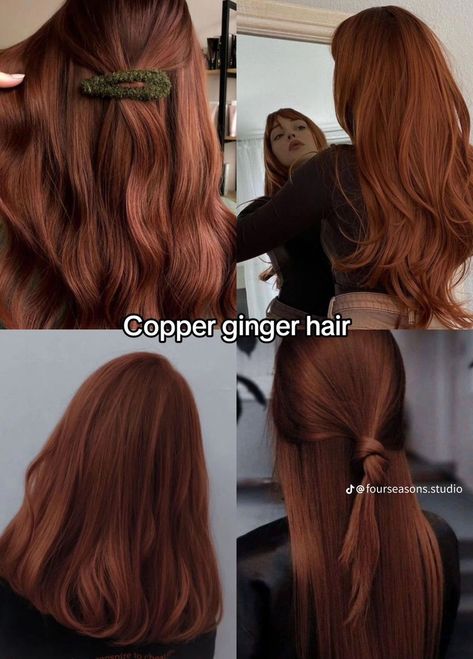 Red Hair Inspo, Hair Color Streaks, Ginger Hair Color, Hair Color Auburn, Pretty Hair Color, Copper Hair, Hair Dye Colors, Red Hair Color, Hair Inspiration Color