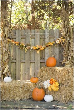 Harvest Mini Sessions Galloway, New Jersey, Bokeh Love Photography, Fall, Pumpkins, Hay, September, October, November Fall Backdrop Ideas, Fall Photo Booth, Fall Photo Props, Pumpkin Patch Photoshoot, Fall Photo Ideas, Fall Minis, Fall Backdrops, Fall Harvest Party, Mini Photo Sessions