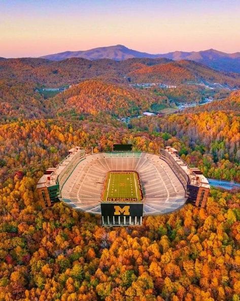 Michigan Stadium nestled in the colorful foliage of Ann Arbor 🍂 #goblue #michiganfootball Oakland University Michigan, Michigan In The Fall, Michigan Ann Arbor, University Of Michigan Ann Arbor, U Of M Aesthetic, Ann Arbor Aesthetic, U Michigan Aesthetic, Ann Arbor Michigan Aesthetic, Michigan State University Aesthetic