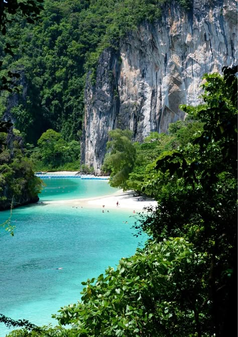 🌴Hong Island View Point : most beautiful Krabi island 𝐂𝐨𝐧𝐭𝐚𝐜𝐭 𝐮𝐬 ☎ 𝐖𝐡𝐚𝐭𝐬𝐚𝐩𝐩 : +𝟔𝟔 𝟗𝟓 𝟎𝟑𝟖 𝟓𝟓𝟑𝟓 🌐www.phuketdreamcompany.asia #hongisland #kohhongkrabi #krabi #HongIslandViewPoint #Thailand Coral Island Thailand, Wedding Dunks, Phuket Krabi, Asia Nature, Krabi Island, Thailand Islands, Pretty Ocean, Waterfall Wallpaper, Thailand Phuket