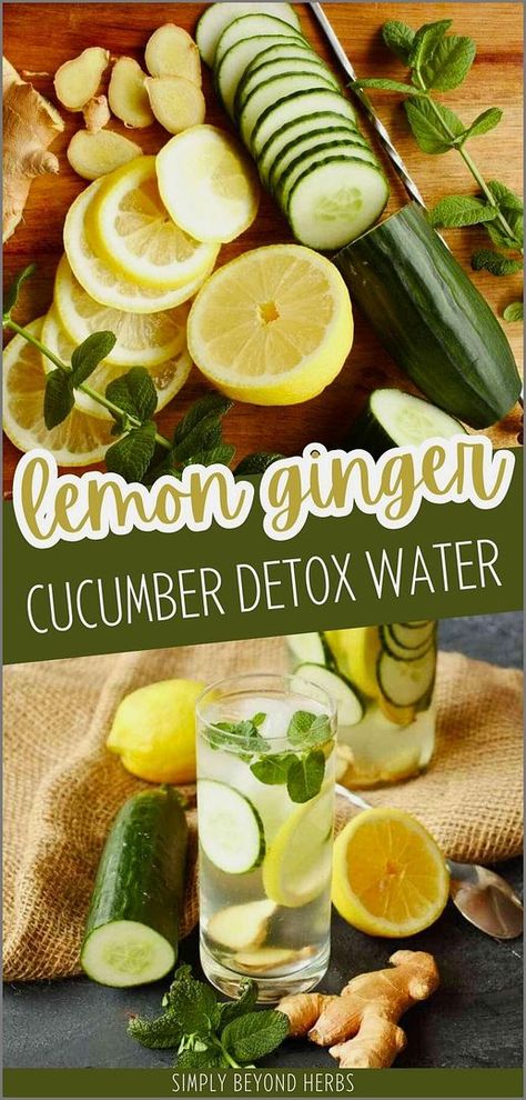 Refresh yourself with lemon ginger cucumber detox water. This infused drink combines the refreshing taste of cucumbers with the zing of lemon and ginger, helping to detoxify your body and keep you hydrated. Perfect for digestion and electrolyte replenishment. Find more electrolyte drink recipes, hydration drink recipes, agua fresca recipes, and Healthy Recipes & Healthy Cooking at simplybeyondherbs.com. Ginger Cucumber Lemon Water, Summer Alcoholic Drinks, Lemon Ginger Detox Water, Fresca Recipes, Ginger Detox Water, Hydration Drinks, Cucumber Infused Water, Lemon Ginger Water, Lemon Water Recipe