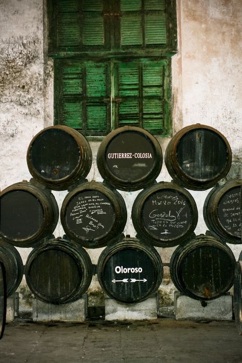 There is a Sherry wine to match every type of food in the world! And my plan is for you to leave me keen to drink Sherry wine throughout a meal. Spanish Kitchen, Sherry Wine, Southern Spain, Types Of Food, Kitchen In, Wine Tasting, Spain, Wine, The World