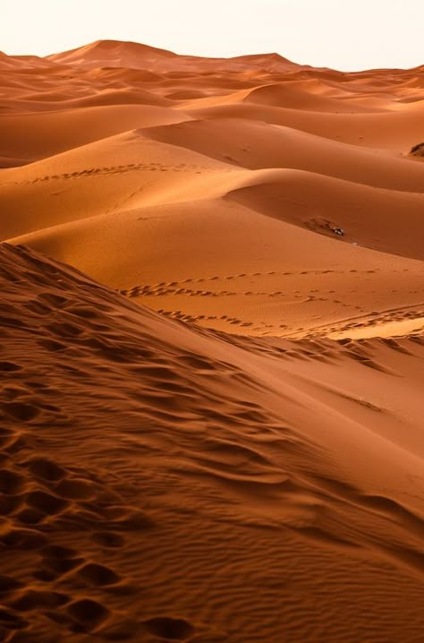 The sweeping sands of the Sahara Desert, Morocco. Click through for tales of misadventures! Desert Caravan, Desert Map, Desert Ecosystem, Desert Aesthetic, Deserts Of The World, Desert Photography, 2160x3840 Wallpaper, Morocco Travel, Wallpaper Iphone Christmas