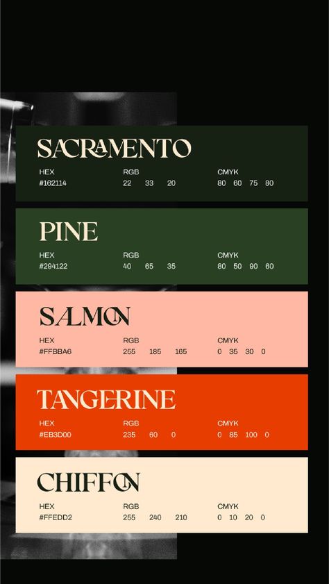 Bar Color Palette, Mises En Page Design Graphique, Visuell Identitet, Speakeasy Bar, Logo Instagram, Inspiration Logo Design, Pantone Colour Palettes, Color Design Inspiration, Hex Color Palette