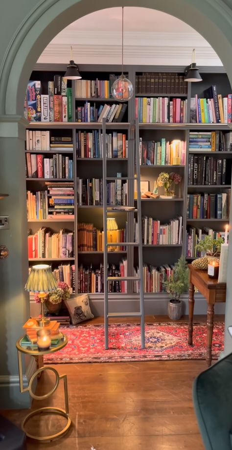 Cozy Bookish Living Room, Bookstagram Shelves, Creative Accent Wall Ideas, Creative Accent Wall, Dream Home Library, Bookish Decor, Library Study Room, Home Library Decor, Cozy Home Library