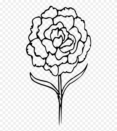 Easy Carnation Drawing, Carnation Doodle, Carnation Drawing Simple, Carnation Tattoo Outline, Carnation Outline, Carnation Drawing, Sketchbook Flowers, Patriotic Signs, Ios Setup