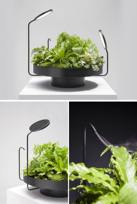 Design studio Goula / Figuera, have created a collection of matte black planters called Viride (the Latin word for green), that include artificial lights (and one with a mister) as part of their design. Indoor Farming, Black Planters, نباتات منزلية, Smart Garden, Hydroponic Gardening, House Plants Decor, Plant Lighting, Indoor Gardening, Mini Garden