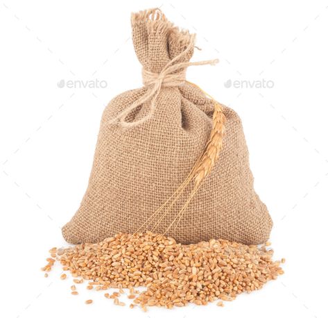 How To Make A Wheat Bag, Brown Smooth Grain Satchel, Luxury Brown Smooth Grain Bags, Sack Of Rice, Wheat Grains Photography, Flat Design Icons, Grain Sack, Wheat, Children’s Books