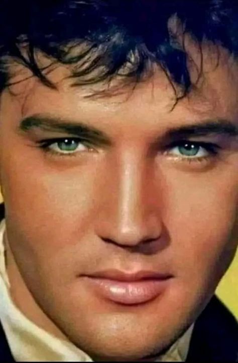 Elvis Presley Quotes, Elvis Presley Wallpaper, Elvis Has Left The Building, Elvis Presley Memories, Elvis Presley Family, Peter K, King Elvis Presley, I Love Elvis, Elvis Photos