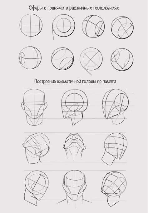 Human Face Reference Anatomy, Facial Structure Drawing Reference, Face Dimensions Drawing, Facial Proportions Drawing Tutorials, Loomis Method Practice, Drawing The Human Head Tutorials, Loomis Head Practice, Realistic Head Drawing Reference, Character Head Reference