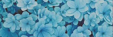 Blue Fb Cover Photos, Blue Theme Twitter Header, Facebook Cover Photos Aesthetic Blue, Twitter Header Teal, Notion Cover Blue, Aesthetic Twitter Header, Flower Header, Fb Wallpaper, Profile Banners