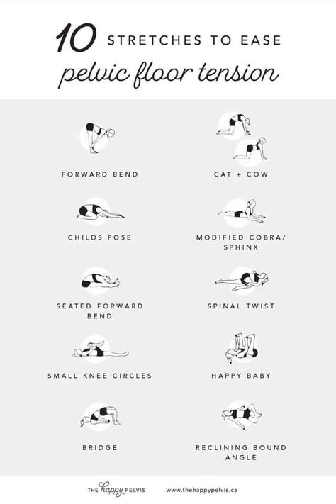 Pin by Hannah Abad on Exercise | Pelvic floor, Pelvic floor dysfunction, Pelvic floor exercises Pelvic Floor Tension, Pelvic Floor Muscle Exercise, Endo Warrior, Pelvic Floor Therapy, Pelvic Health, Pelvic Floor Dysfunction, Pelvic Floor Exercises, Yoga Iyengar, Pelvic Floor Muscles