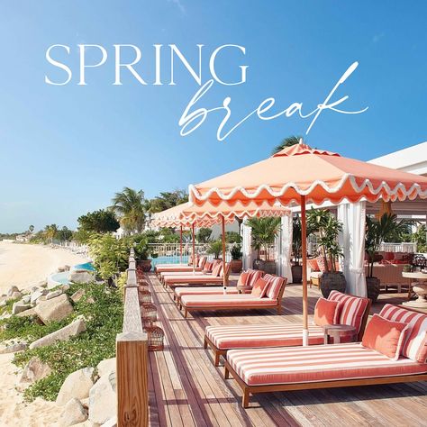 ☀️ Spring Break Fever is HERE! We just booked @belmond_lasamanna dreamy 3-bedroom cottage and 1-bedroom terrace suite for Spring Break 2025! As invite-only Belmond Bellini Advisors, we’re unlocking exclusive perks just for you: 💛Highest priority for room upgrades. 💛Daily breakfast for all guests. 💛$200 resort credits per suite. 💛Plus, some top-secret client surprises! And, all for the same cost, the client would have booked on their own! 💛That’s right, when you know which hotel you want... Resort 2025, Bedroom Cottage, Room Upgrade, Spring Resort, Bedroom Terrace, The Client, Top Secret, When You Know, Bellini