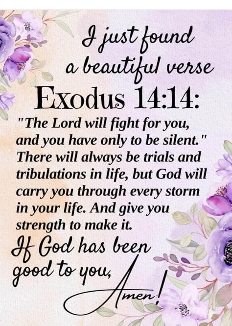 Daily Messages From God, Friday Inspirational Quotes Positivity, Blessings Quotes Inspiration Prayer, Strong Quotes Inspirational, Kjv Bible Verses Encouragement, Encouragement Quotes For Women, Positive Good Morning Messages, Scripture Blessings, Divine Inspiration And Prayers