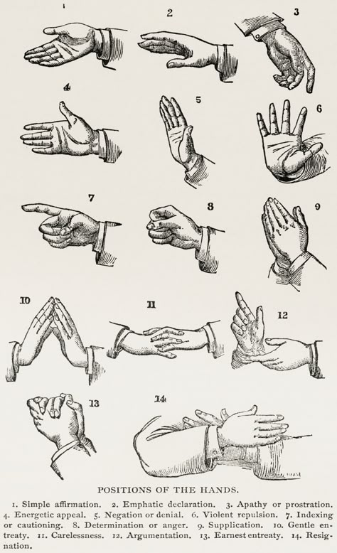 Positions of the Hands (1910) from the work of Joseph Gibb… | Flickr Domain Expansion Hand Sign, Body Language Hands, Masonic Signs, Hand Gesture Drawing, Reading Body Language, Domain Expansion, Hand Shadows, Person Art, Sign Language Words