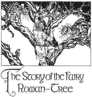 The King of Ireland's Son: The House of Crom Duv: The Story of the Fairy Rowan Tree Celtic Myth, Celtic Legends, Tree Fairy, Irish Folklore, Folk Stories, Irish Mythology, Rowan Tree, Magical Tree, Sacred Tree