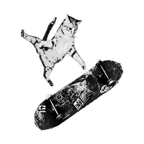 RAD SKATEBOARDING KICK FLIP CAT | SK8CAT Skateboard Drawing Aesthetic, Cat On Skateboard Drawing, Sk8 Aesthetic, Cat On Skateboard, Cat Skateboarding, Skateboard Png, Skateboarding Cat, Hilarious Animal Memes, Skate Graphics