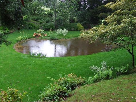 Witchy Cabin, Pond Building, Wildlife Ponds, Mini Farming, Large Pond, Wildlife Pond, Pond Construction, Naturalistic Garden, Fishing Pond