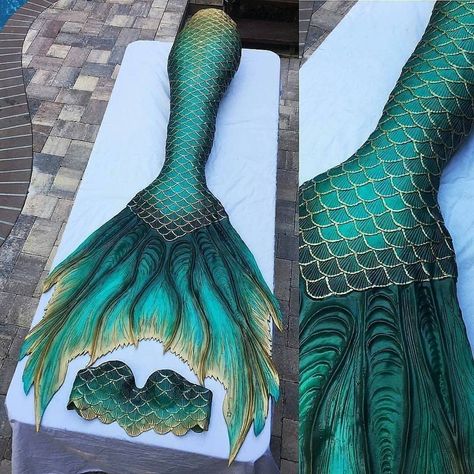 Which mermaid tail 1,2,3,4,5,6,7,8? By @the_mernation . Follow @artistic_unity_ Green Mermaid Tail Aesthetic, Dark Green Mermaid Tail, Mermaid Aesthetic Tail, Aesthetic Mermaid Tail, Mermaid Tails Aesthetic, Mermaid Tail Ideas, Mermaid Clothes Aesthetic, Green Mermaid Aesthetic, Dark Mermaid Tail