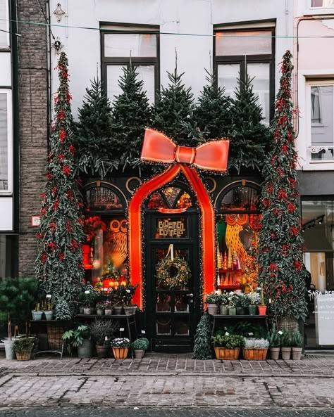 The ShopKeepers (@the_shopkeepers) • Instagram photos and videos Christmas Store Displays, Christmas Shop Displays, Flower Shop Display, Christmas Shop Window, Christmas Coffee Table Decor, Amazing Christmas Trees, Holiday Window Display, Southern Christmas, Christmas Service