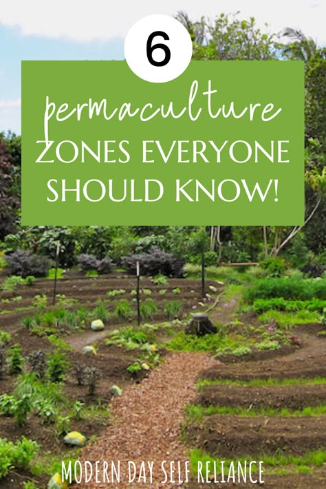 When designing a property following permaculture principles, it’s common to use “the zone approach.” This means dividing a property into defined zones based on proximity to the main dwelling and the intended use of each area. Learn how to use permaculture zones to best plan and manage your homestead! What Is Permaculture, Permaculture Water Management, Permaculture Garden Design Ideas, Permaculture Orchard Layout, Permaculture For Beginners, Small Permaculture Garden Design, Zone 4 Gardening Landscaping, Huglekulture Permaculture, Permaculture Garden Design Layout